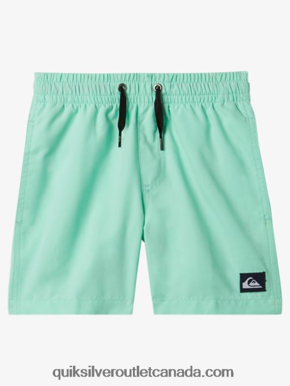 CA Quiksilver Boys 2-7 Everyday 12 Volleys beach glass TX4R21999