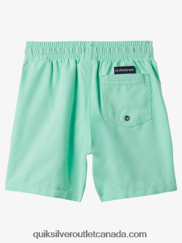 CA Quiksilver Boys 2-7 Everyday 12 Volleys beach glass TX4R21999