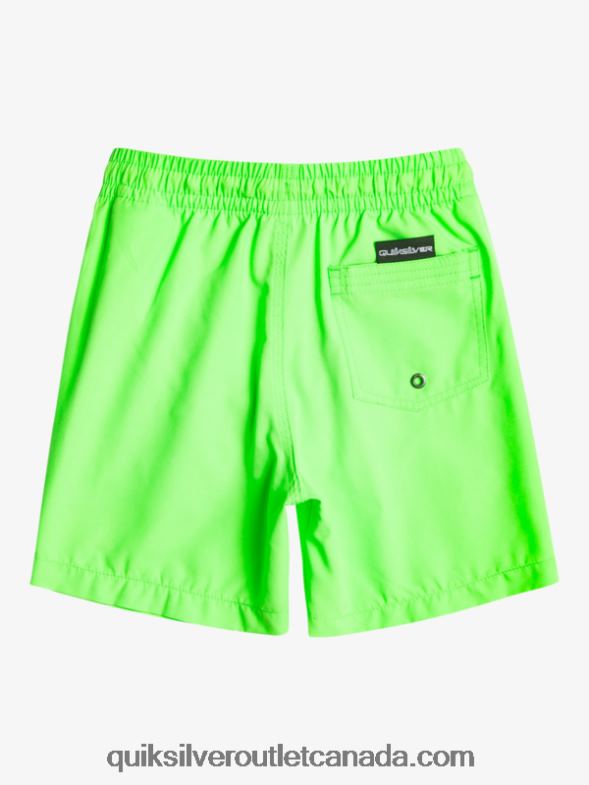 CA Quiksilver Boys 2-7 Everyday 13 Volleys green gecko TX4R22003