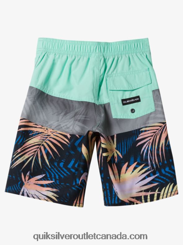 CA Quiksilver Boys 2-7 Everyday Panel 14 Boardshorts beach glass TX4R21899