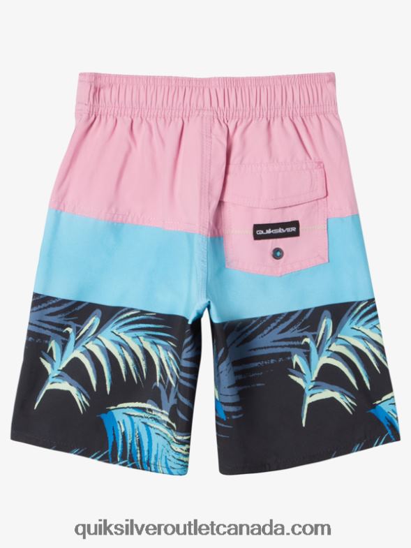 CA Quiksilver Boys 2-7 Everyday Panel 14 Boardshorts moonlite mauve TX4R21897