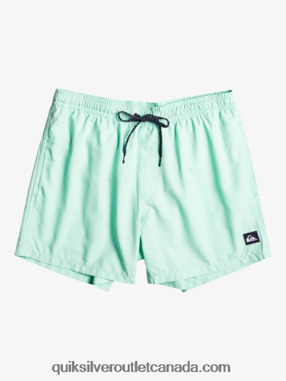 CA Quiksilver Boys 8-16 Everyday 15Volleys beach glass TX4R21919