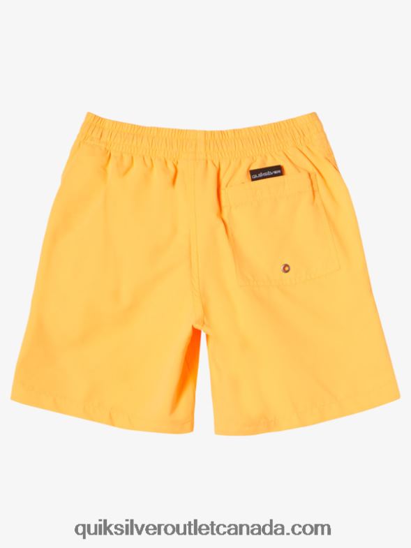 CA Quiksilver Boys 8-16 Everyday 15Volleys orange pop TX4R21917