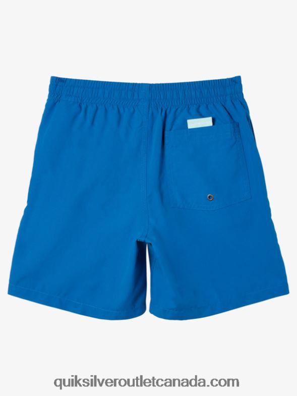 CA Quiksilver Boys 8-16 Everyday 15Volleys snorkel blue TX4R21915