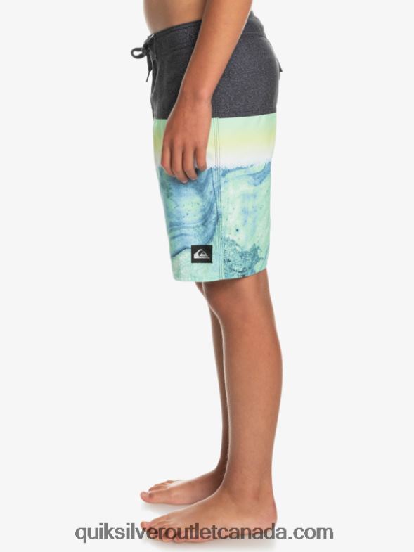 CA Quiksilver Boys 8-16 Everyday Panel Yth 17 Boardshort green ash TX4R22274