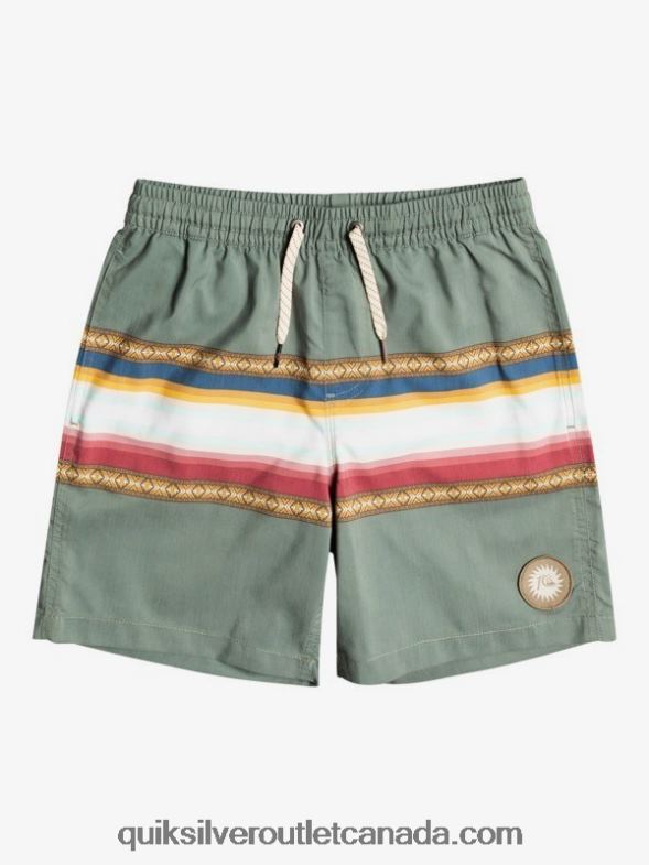 CA Quiksilver Boys 8-16 Sun Faded 15 Recycled Volleys thyme TX4R22321