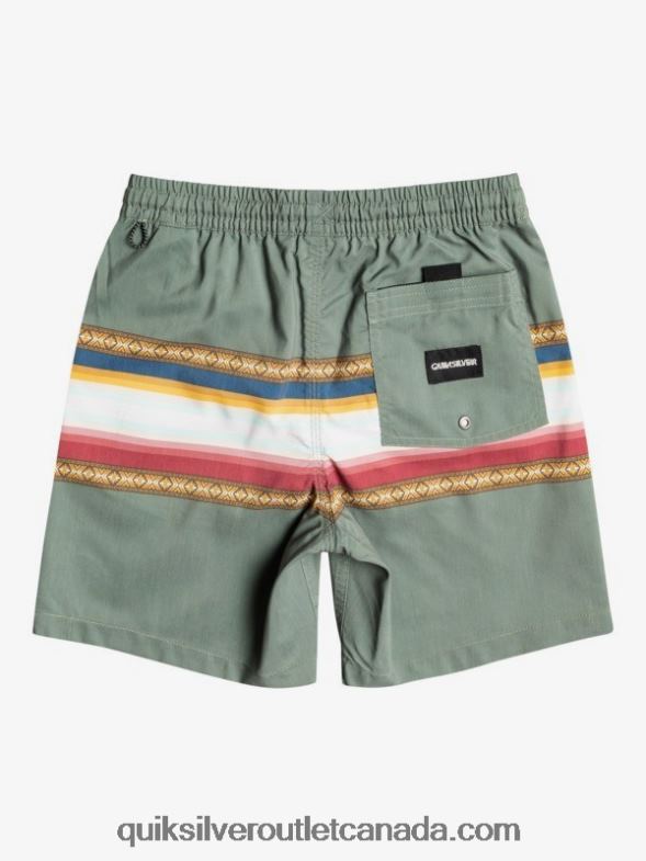 CA Quiksilver Boys 8-16 Sun Faded 15 Recycled Volleys thyme TX4R22321