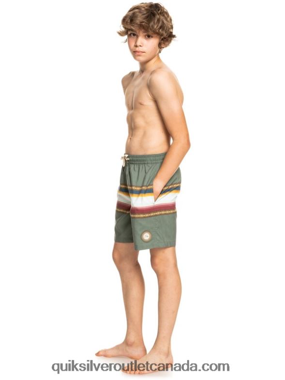 CA Quiksilver Boys 8-16 Sun Faded 15 Recycled Volleys thyme TX4R22321