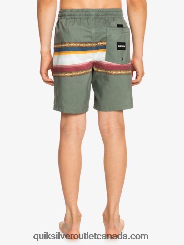 CA Quiksilver Boys 8-16 Sun Faded 15 Recycled Volleys thyme TX4R22321