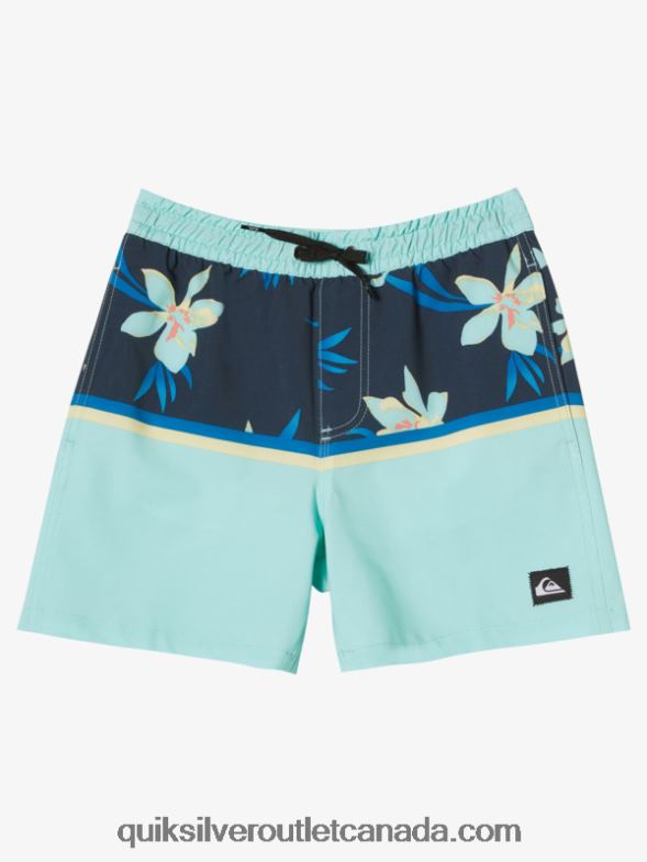 CA Quiksilver Boys 8-16 Surfsilk Division Vl 14 Volleys beach glass TX4R22141