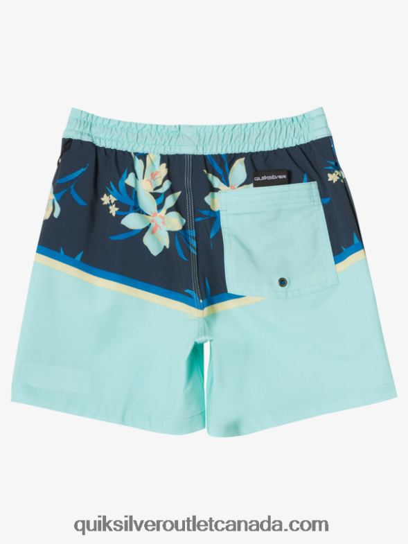 CA Quiksilver Boys 8-16 Surfsilk Division Vl 14 Volleys beach glass TX4R22141