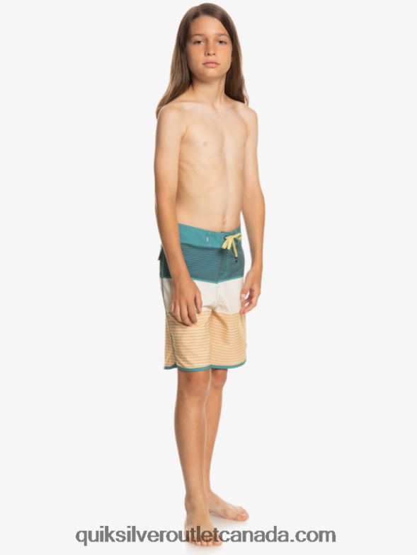 CA Quiksilver Boys 8-16 Surfsilk Tijuana 17 Boardshorts wheat TX4R21985