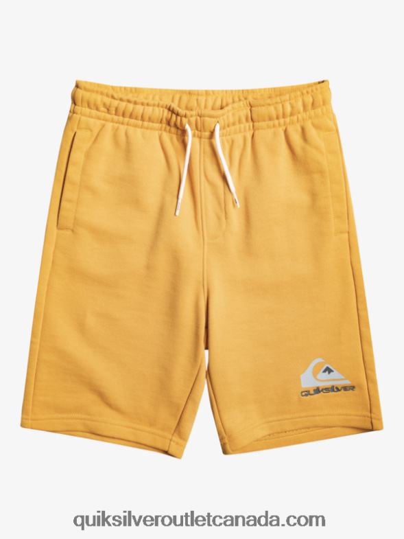 CA Quiksilver Boys 8-16 Easy Day Joggers bright gold TX4R22071