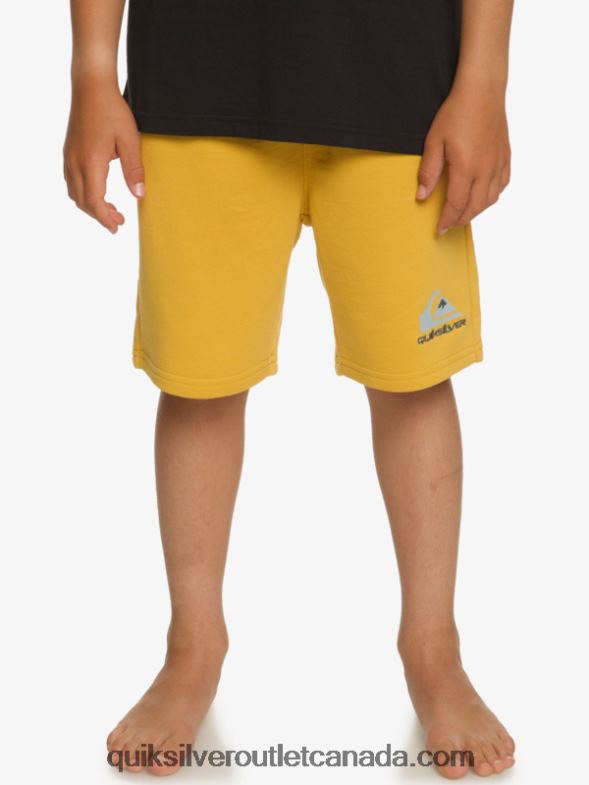 CA Quiksilver Boys 8-16 Easy Day Joggers bright gold TX4R22071