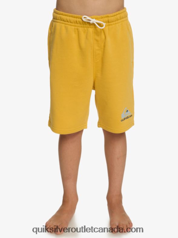 CA Quiksilver Boys 8-16 Easy Day Joggers bright gold TX4R22071