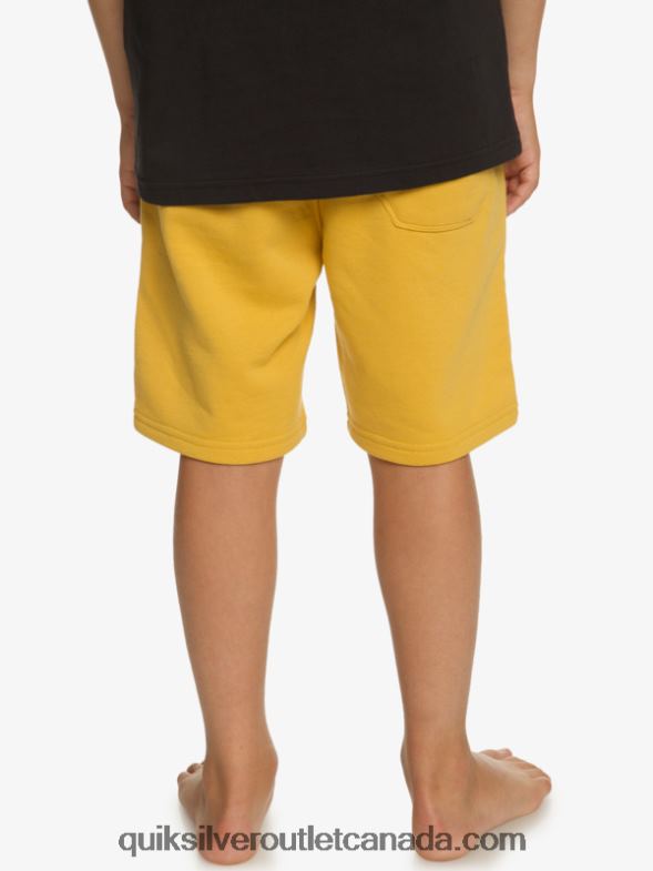 CA Quiksilver Boys 8-16 Easy Day Joggers bright gold TX4R22071