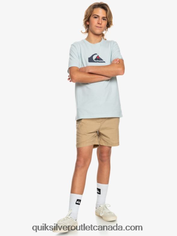 CA Quiksilver Boys 8-16 Taxer 15 Elastic Waist Shorts plage TX4R22080