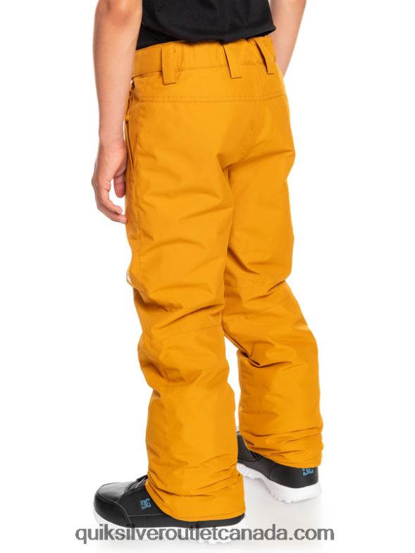 CA Quiksilver Boys 8-16 Estate Snow Pants buckthorn brown TX4R22293