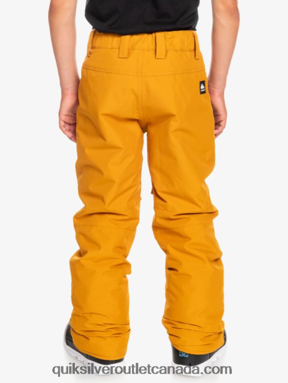 CA Quiksilver Boys 8-16 Estate Snow Pants buckthorn brown TX4R22293