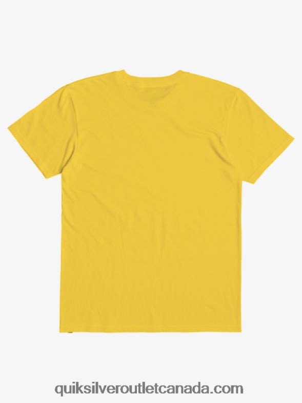 CA Quiksilver Boys 2-7 At Risks T-shirt snapdragon TX4R22171