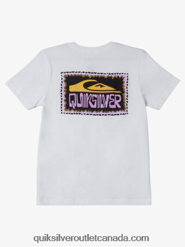 CA Quiksilver Boys 8-16 Warped Frames T-shirt white TX4R22155