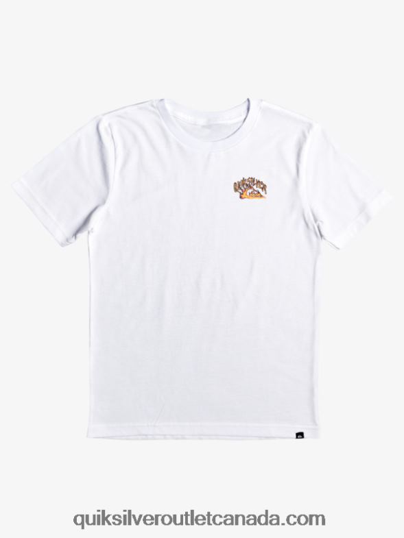 CA Quiksilver Boys 8-16 Waves Guardian T-shirt white TX4R22229