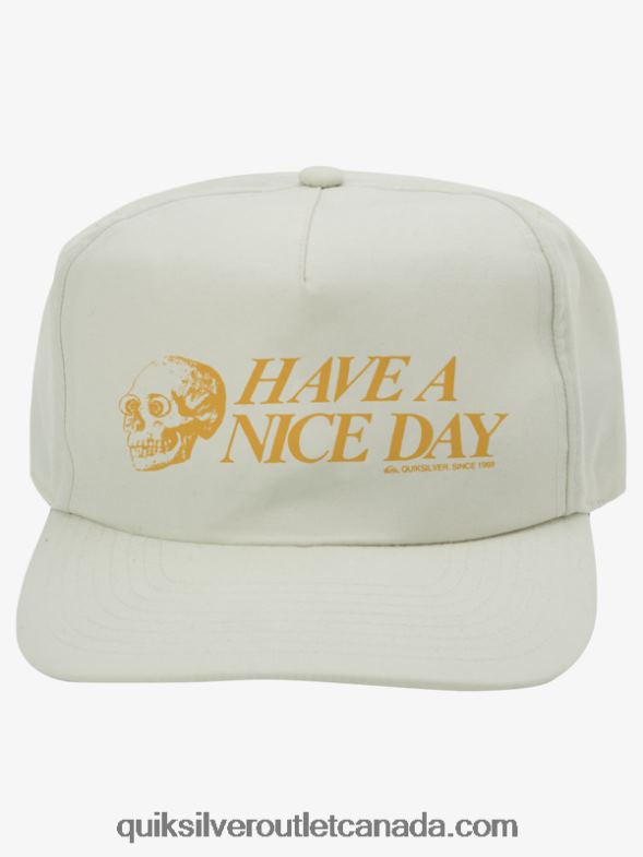 CA Quiksilver Men Branded Snapback Hat birch TX4R21093