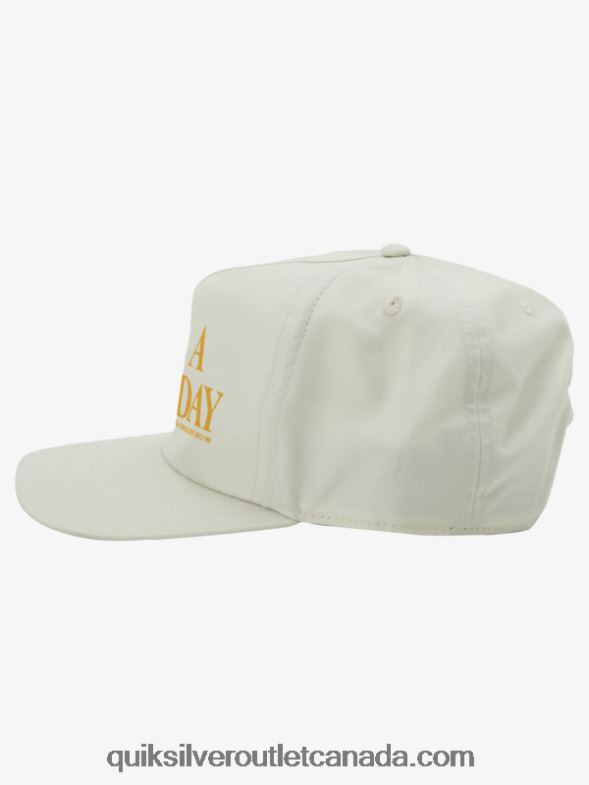 CA Quiksilver Men Branded Snapback Hat birch TX4R21093