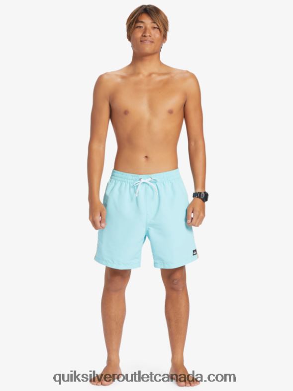 CA Quiksilver Men Beach Please 17 Volleys angel blue TX4R2279
