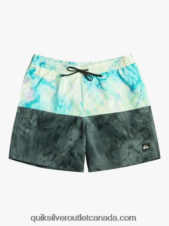 CA Quiksilver Men Butt Logo 17 Volleys black TX4R2486