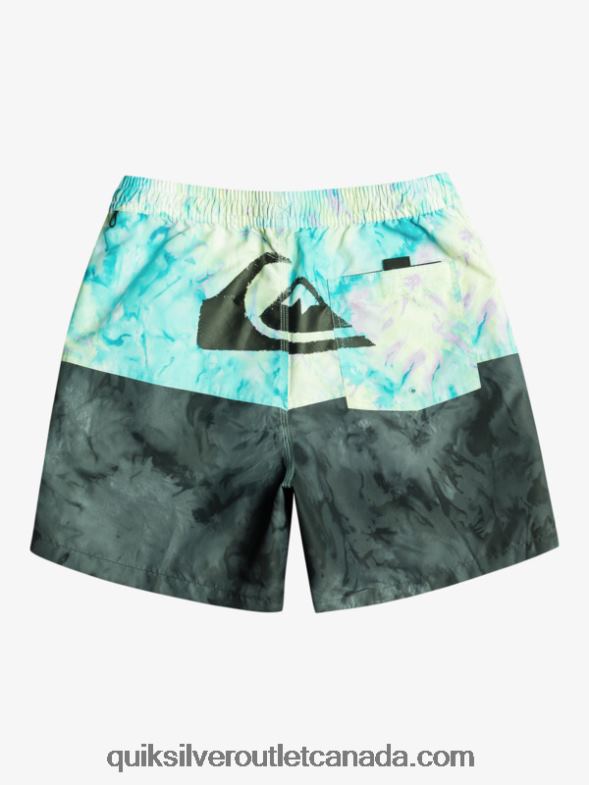 CA Quiksilver Men Butt Logo 17 Volleys black TX4R2486