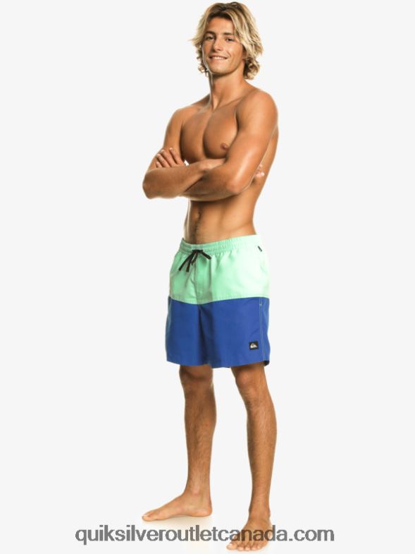 CA Quiksilver Men Butt Logo 17 Volleys snorkel blue TX4R2485