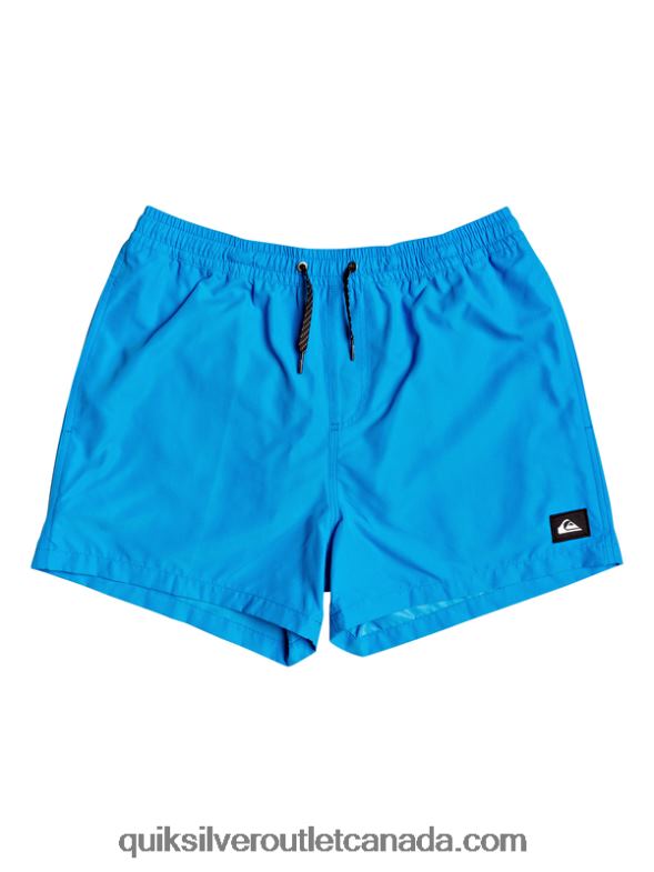 CA Quiksilver Men Everyday 15 Volleys blithe TX4R2461