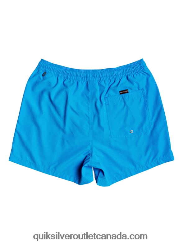 CA Quiksilver Men Everyday 15 Volleys blithe TX4R2461