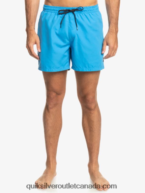 CA Quiksilver Men Everyday 15 Volleys blithe TX4R2461
