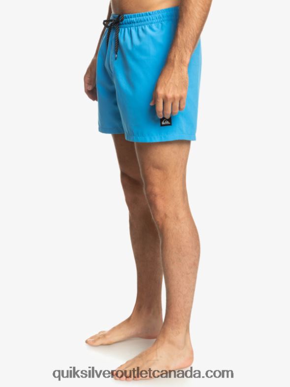 CA Quiksilver Men Everyday 15 Volleys blithe TX4R2461