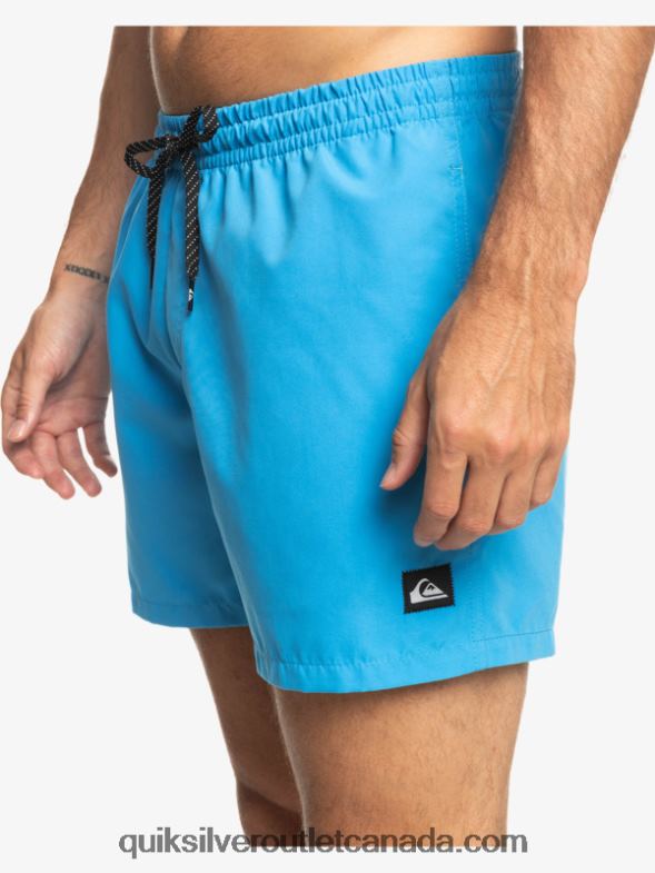 CA Quiksilver Men Everyday 15 Volleys blithe TX4R2461