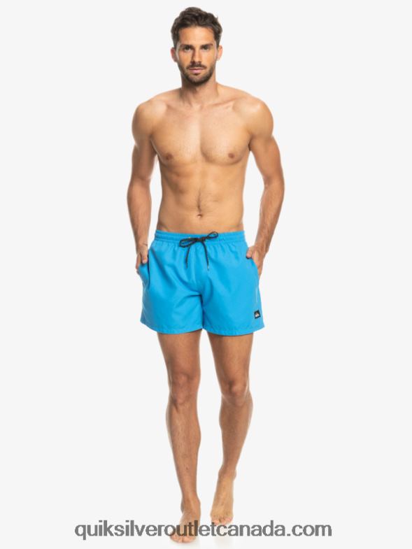 CA Quiksilver Men Everyday 15 Volleys blithe TX4R2461