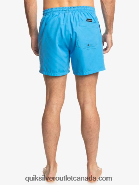 CA Quiksilver Men Everyday 15 Volleys blithe TX4R2461