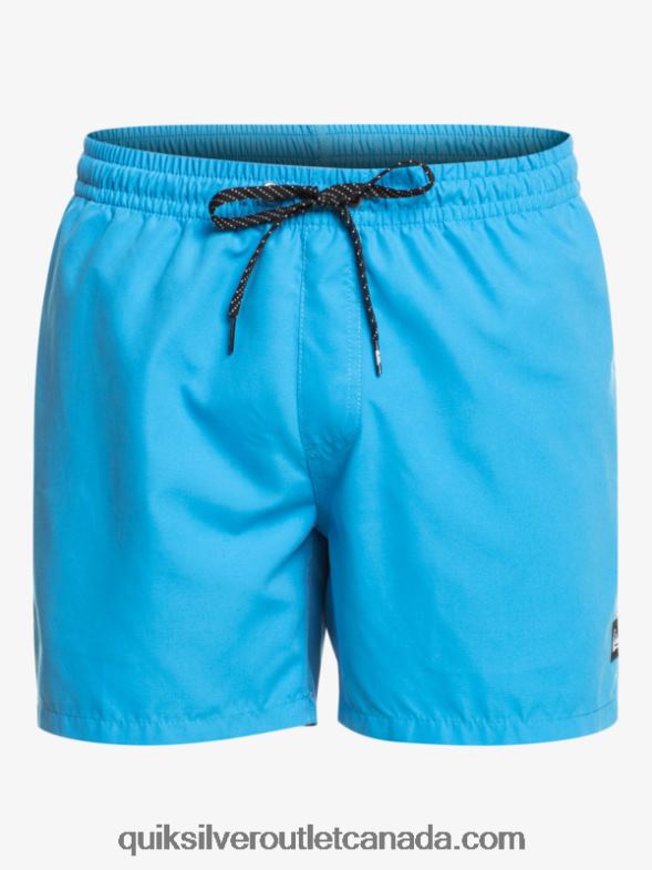 CA Quiksilver Men Everyday 15 Volleys blithe TX4R2461