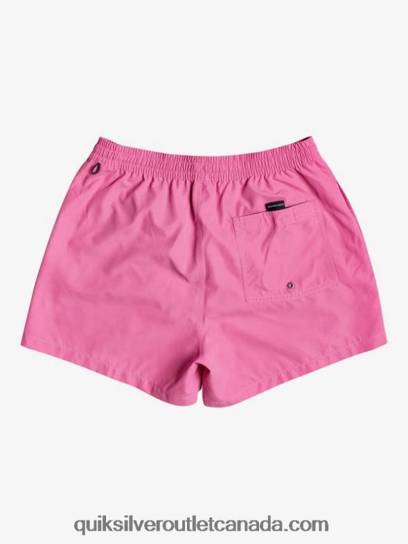 CA Quiksilver Men Everyday 15 Volleys carmine rose TX4R2467