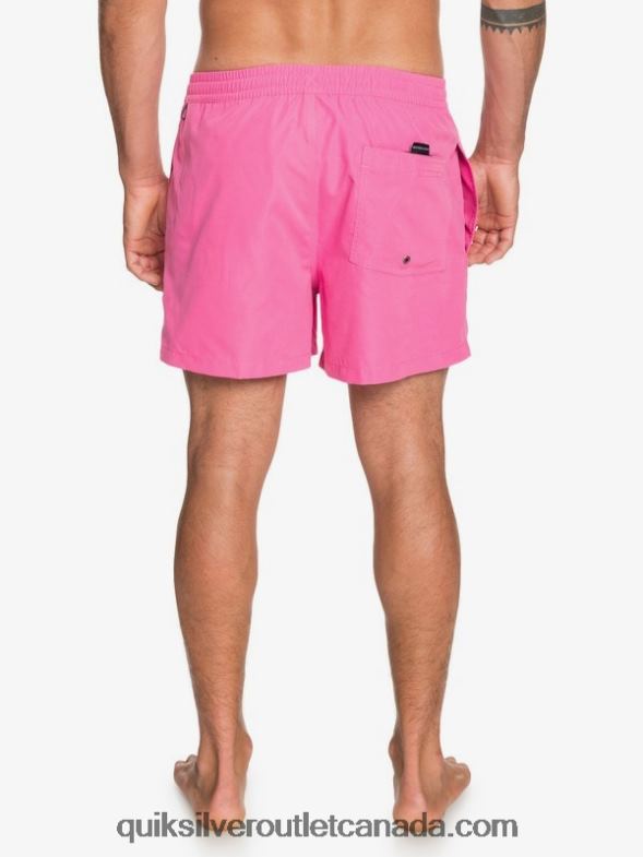 CA Quiksilver Men Everyday 15 Volleys carmine rose TX4R2467