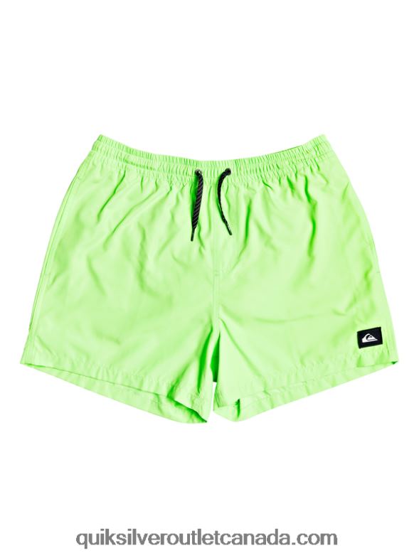 CA Quiksilver Men Everyday 15 Volleys green gecko TX4R2460