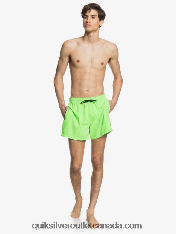 CA Quiksilver Men Everyday 15 Volleys green gecko TX4R2460