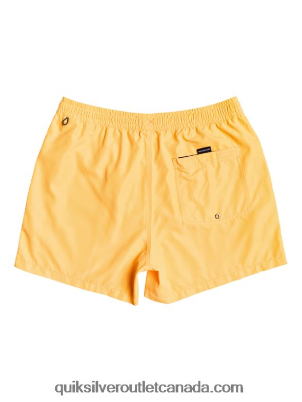 CA Quiksilver Men Everyday 15 Volleys orange pop TX4R2459