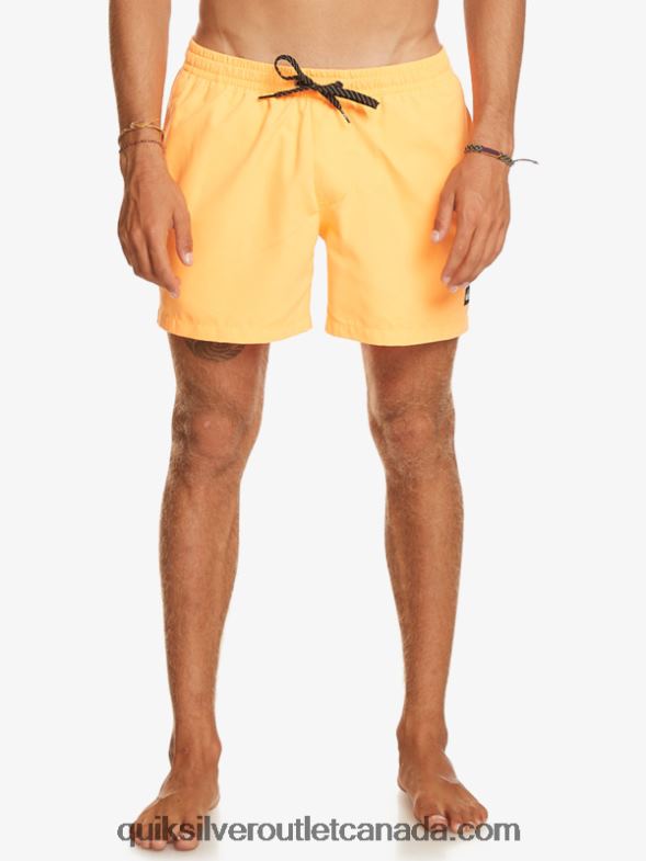 CA Quiksilver Men Everyday 15 Volleys orange pop TX4R2459