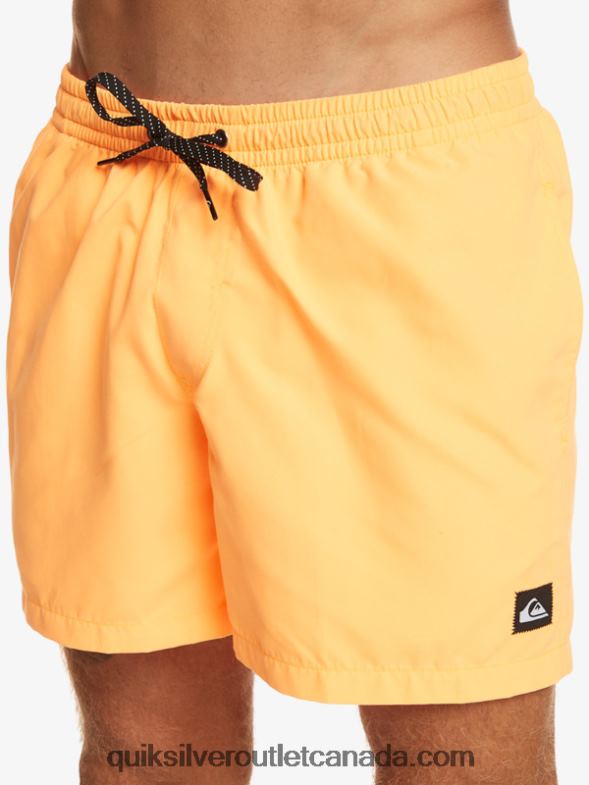 CA Quiksilver Men Everyday 15 Volleys orange pop TX4R2459