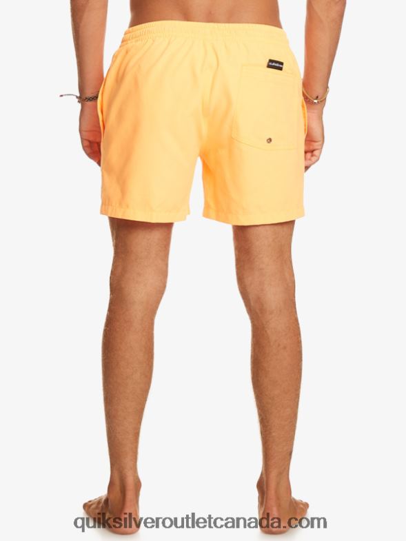 CA Quiksilver Men Everyday 15 Volleys orange pop TX4R2459