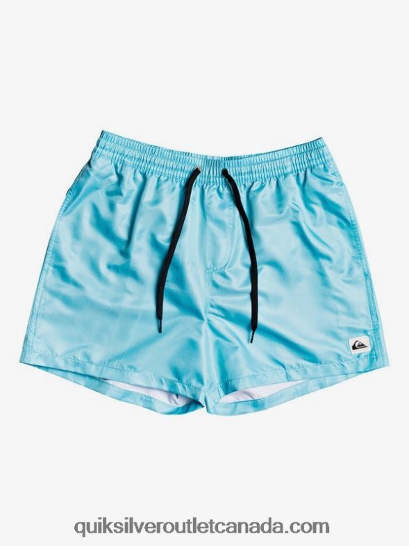 CA Quiksilver Men Everyday 15 Volleys pacific blue TX4R2466