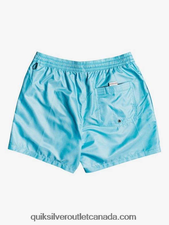 CA Quiksilver Men Everyday 15 Volleys pacific blue TX4R2466